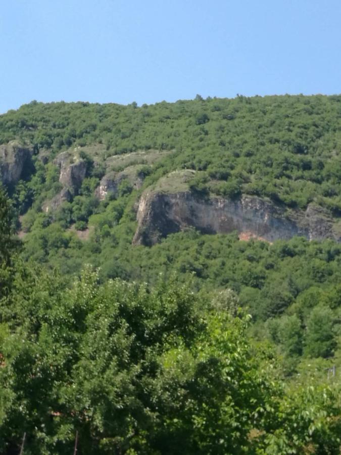 Самостоятелни Стаи В Къща За Гости Балкан Ribarica Luaran gambar